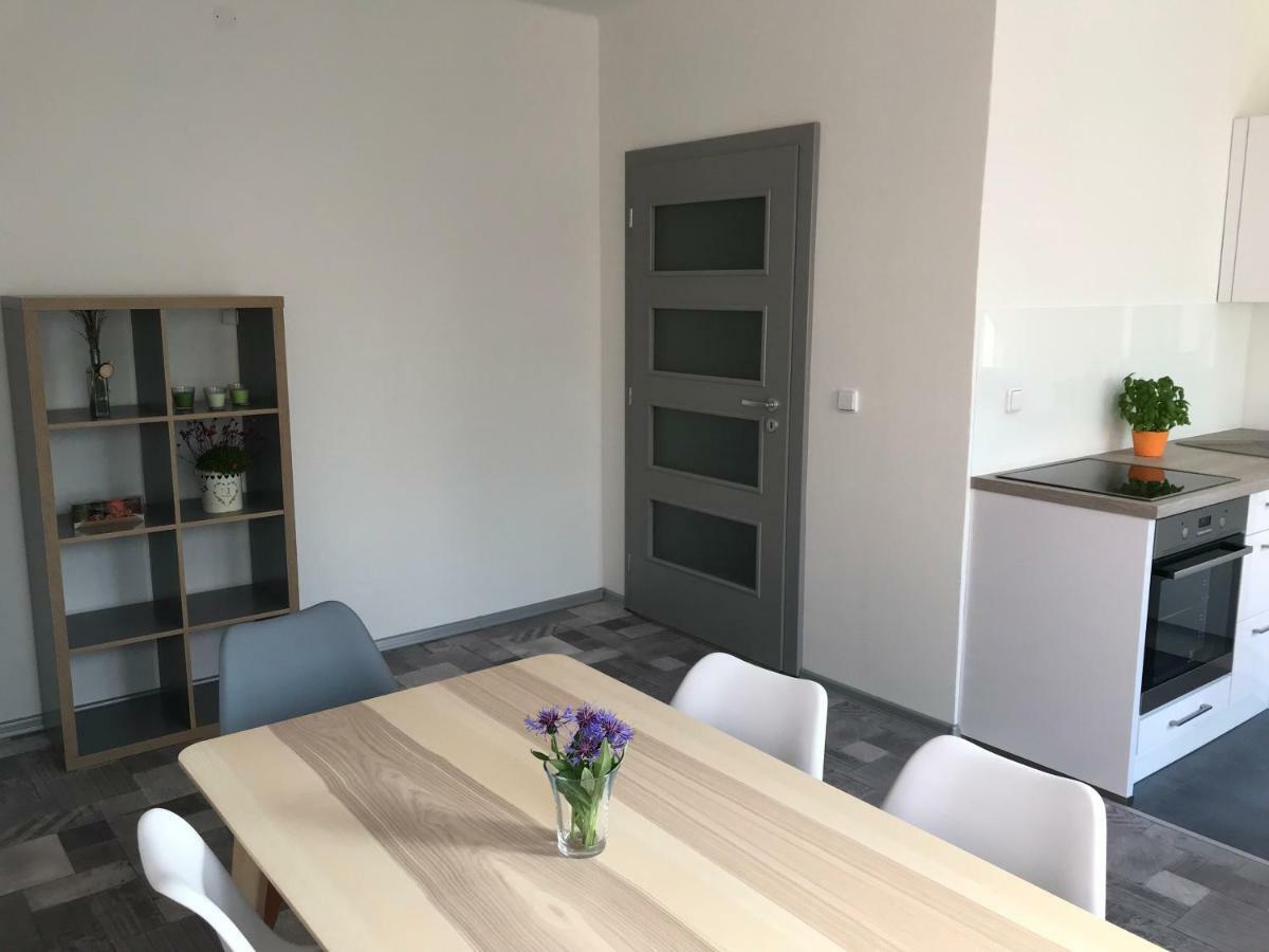 Apartman Havlickova Karlovy Vary Dış mekan fotoğraf